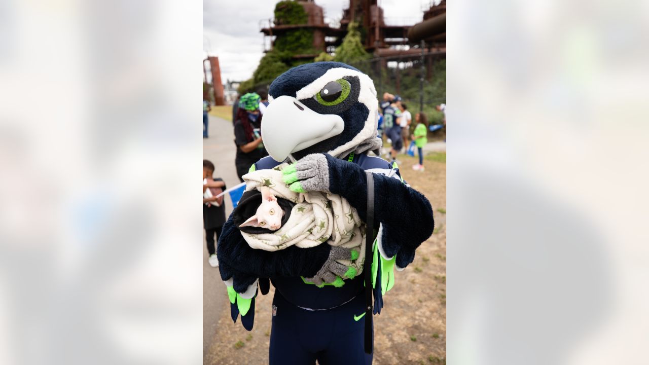 Seattle Seahawks on X: Happy Blue Friday! #TGIBF Any pet 12s out there  showing their #Seahawks spirit?  / X