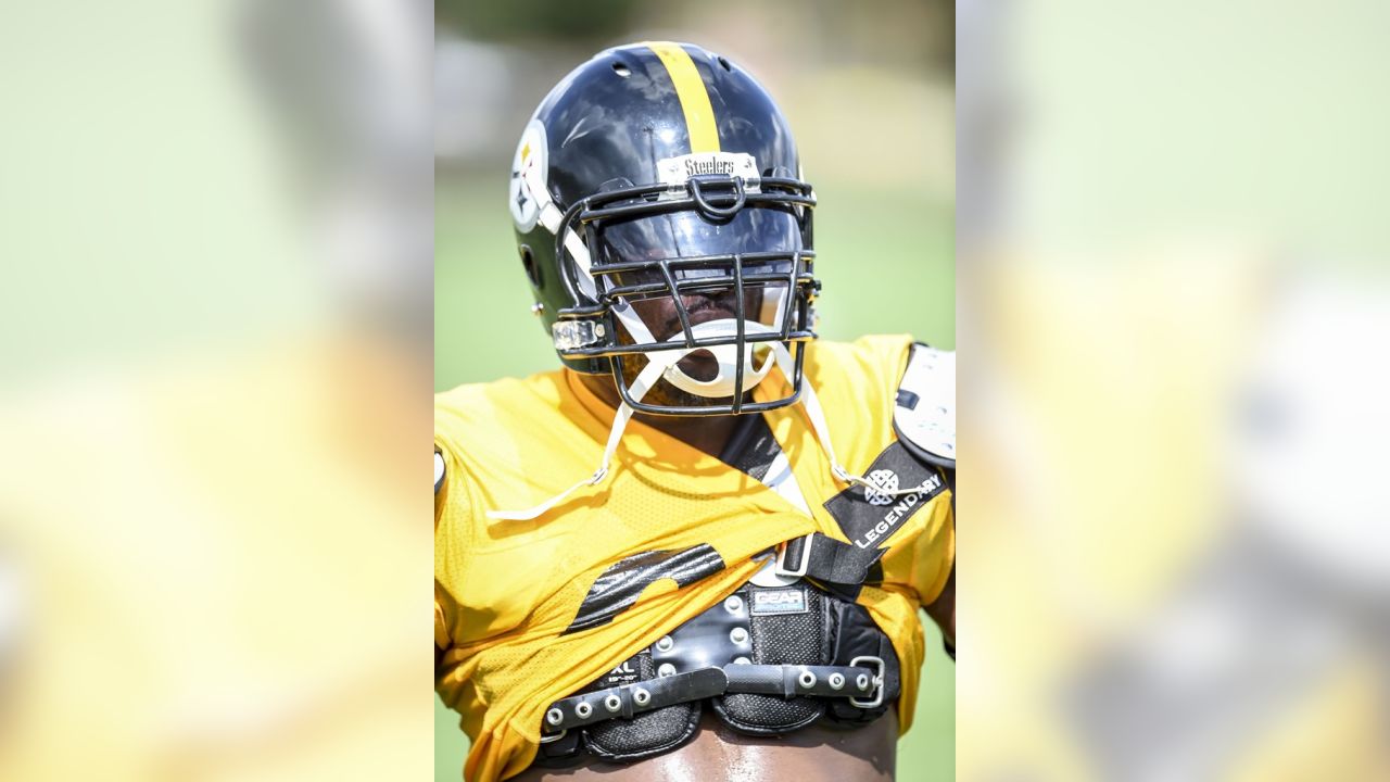 Sammie Coates' development welcome sign for Steelers offense