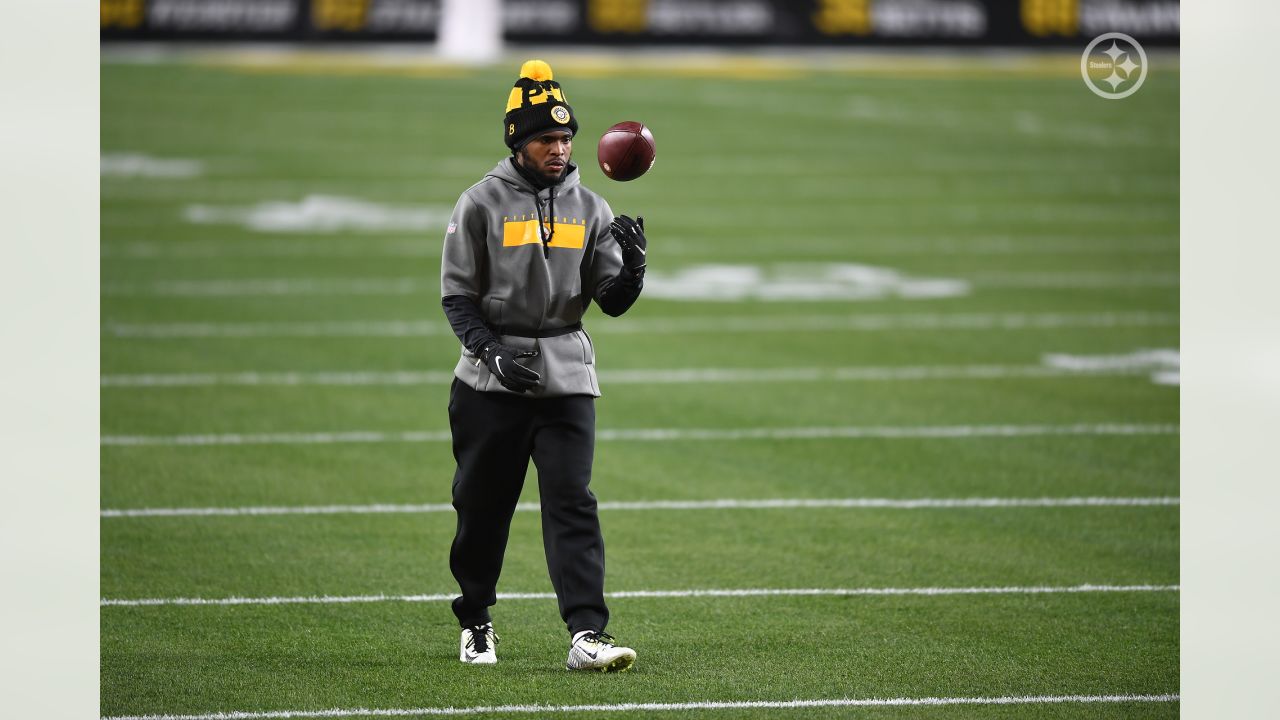 Photos: Wild Card Round - Browns at Steelers Game Action