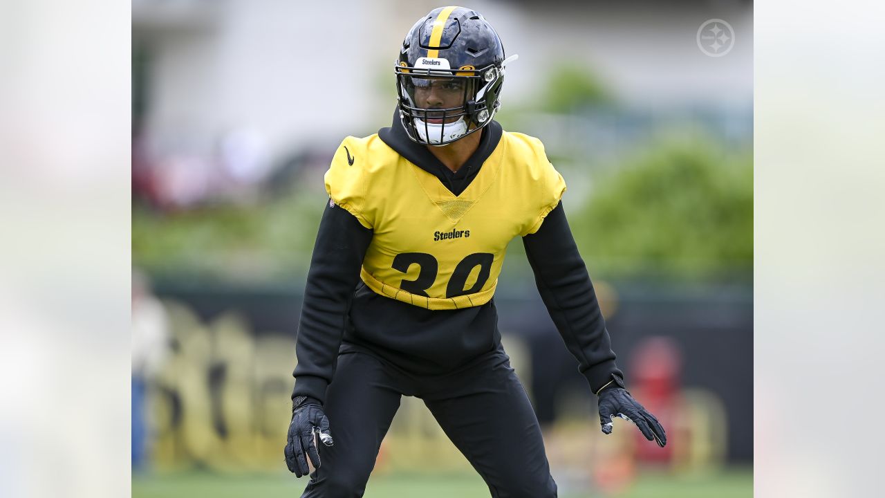 Steelers' secondary transition: 'You got to let Minkah be Minkah' 