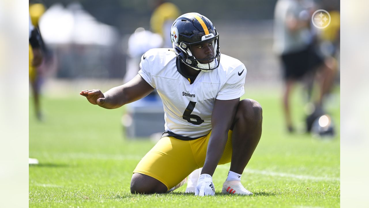 Punter Pressley Harvin III stands out from the crowd at Steelers rookie  minicamp