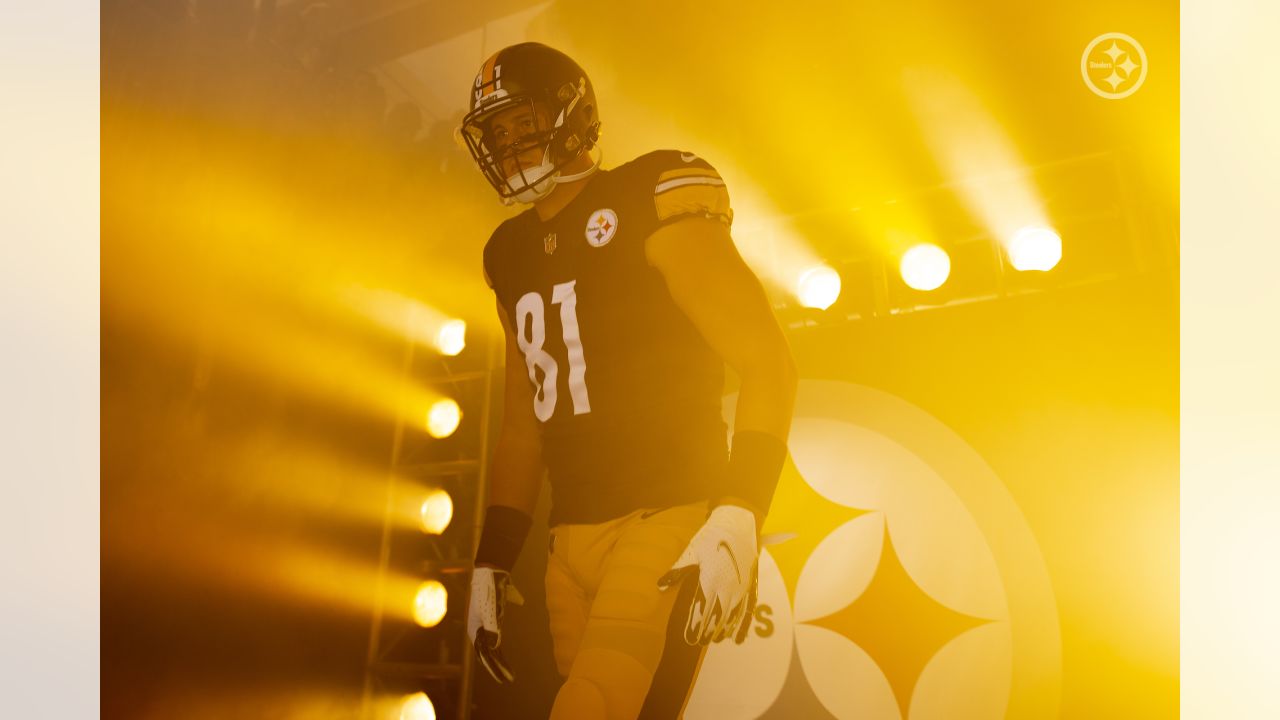 Pittsburgh Steelers tight end Zach Gentry (81) looks on during an NFL  football game, Sunday, Oct. 2, 2022, in Pittsburgh, PA. (AP Photo/Matt  Durisko Stock Photo - Alamy