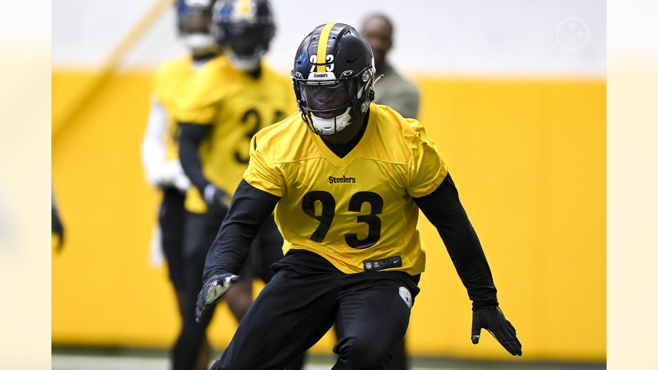 Steelers 2022 Exit Interviews: Mark Robinson and Devin Bush