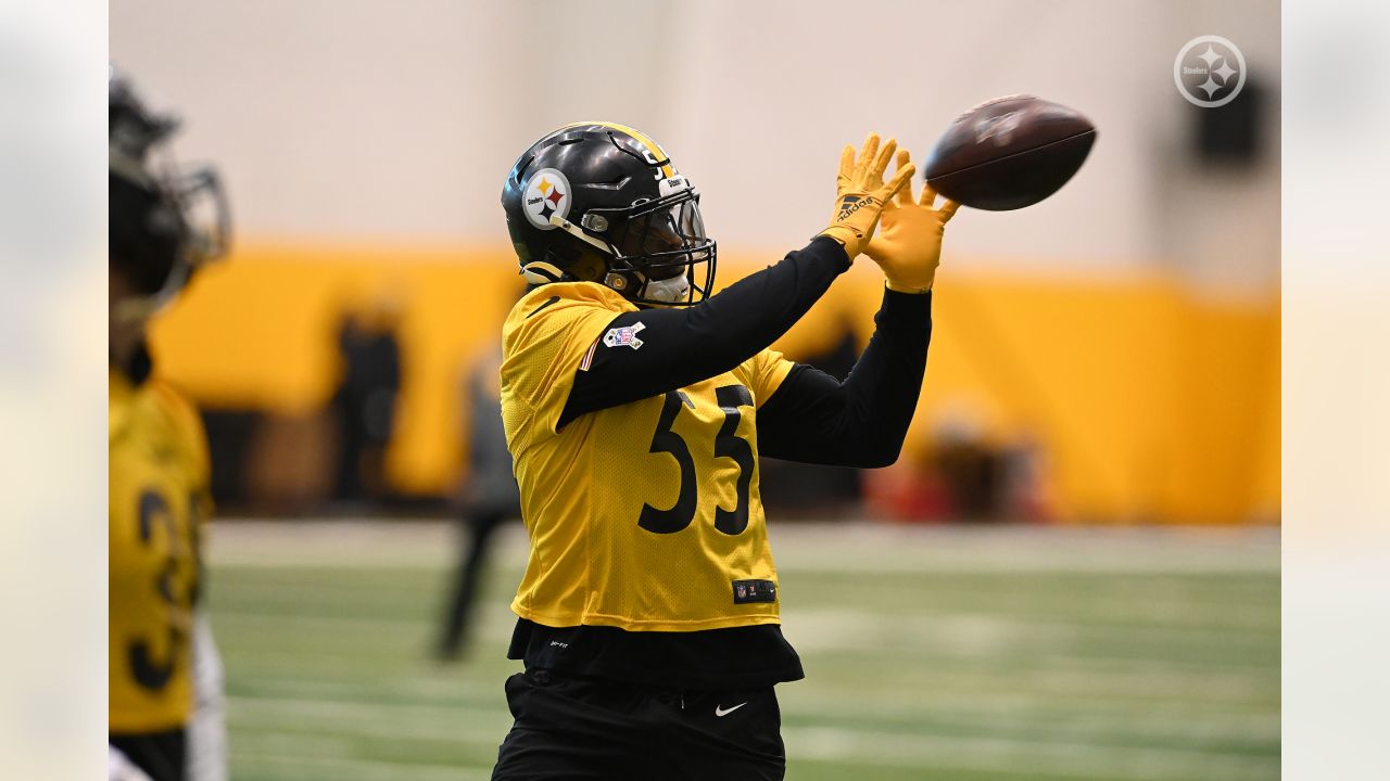 Steelers LB Devin Bush prepared for heavy workload this season