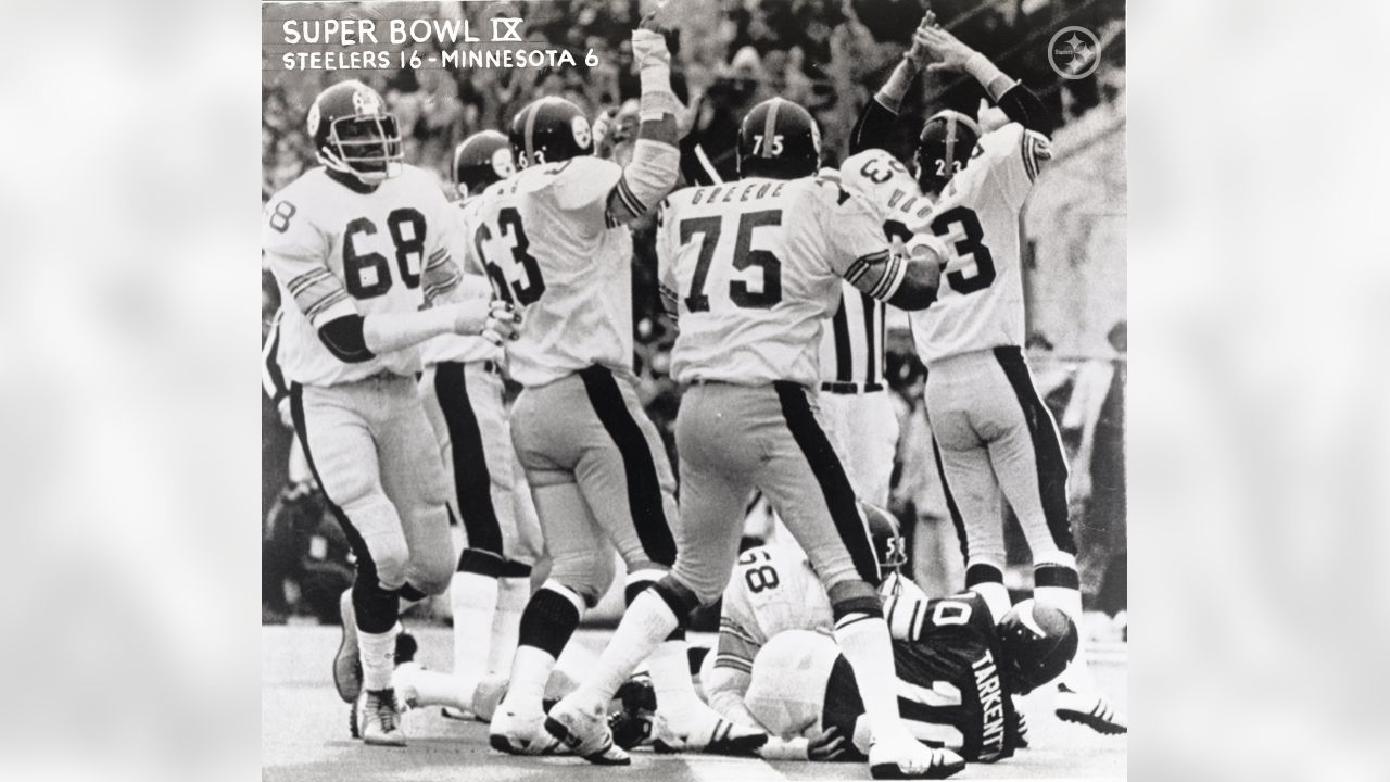 1975: Super Bowl IX