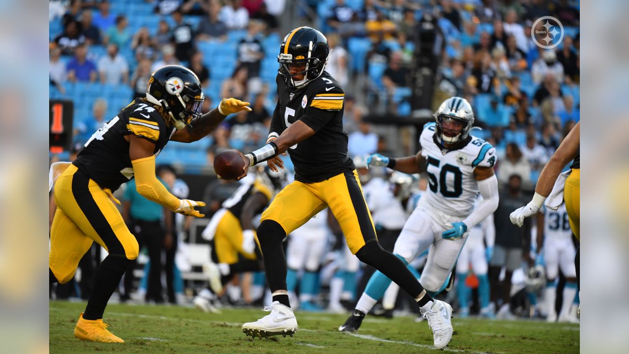 Pittsburgh Steelers vs. Carolina Panthers