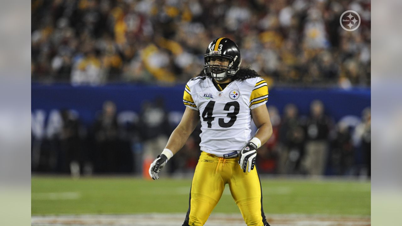 Polamalu leads five voted into Pro Football Hall of Fame