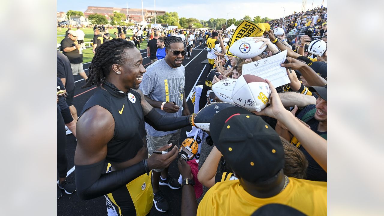 Pittsburgh Steelers receiver Mike Wallace catches a pass during a drill  during NFL training camp in Latrobe, Pa., Friday, July 29, 2011. (AP  Photo/Gene J. Puskar Stock Photo - Alamy