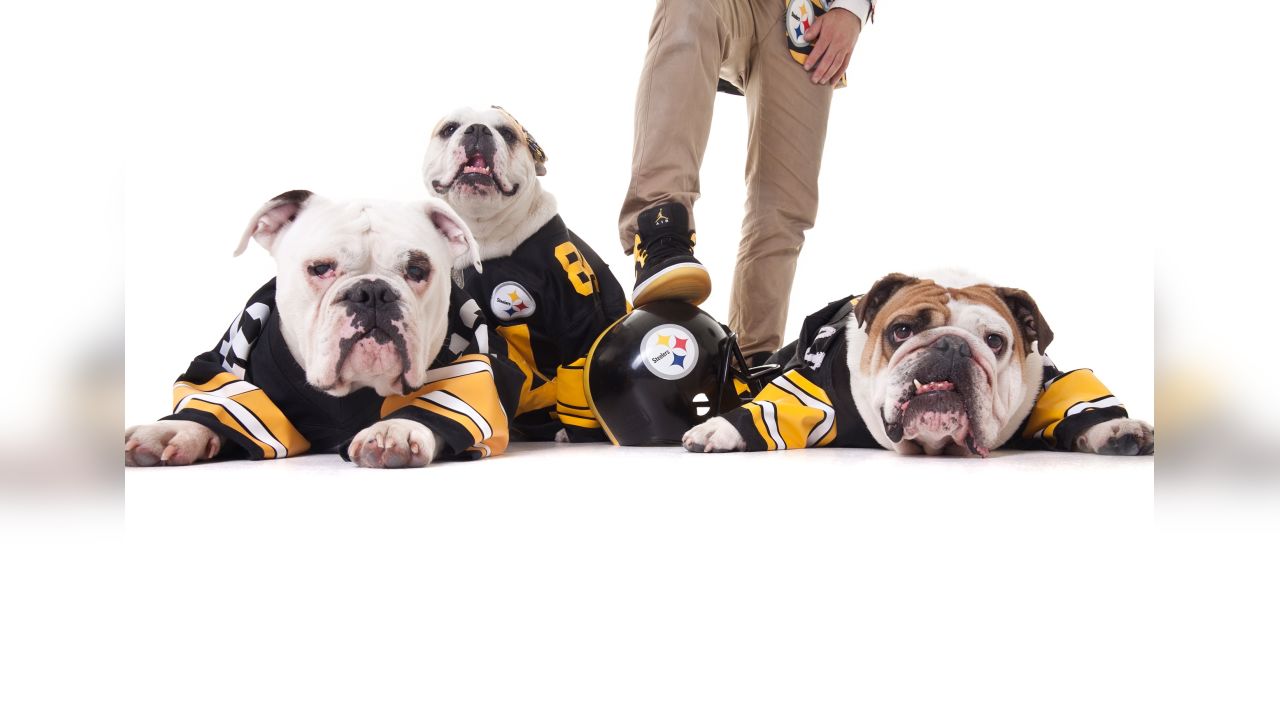 Me and My Steelers Pet