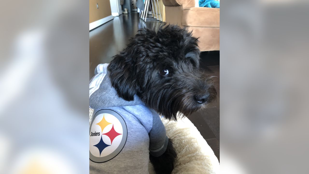 Me and My Steelers Pet