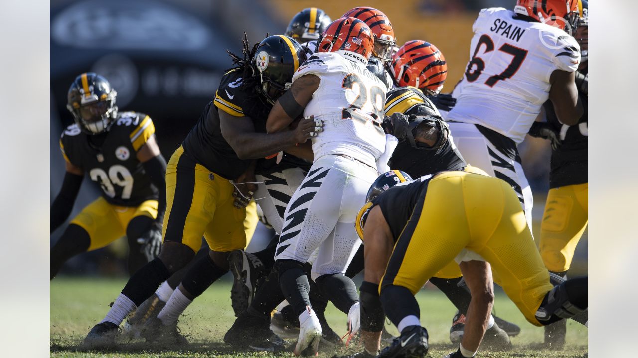 PHOTOS: Karl's top pics - Steelers at Bengals