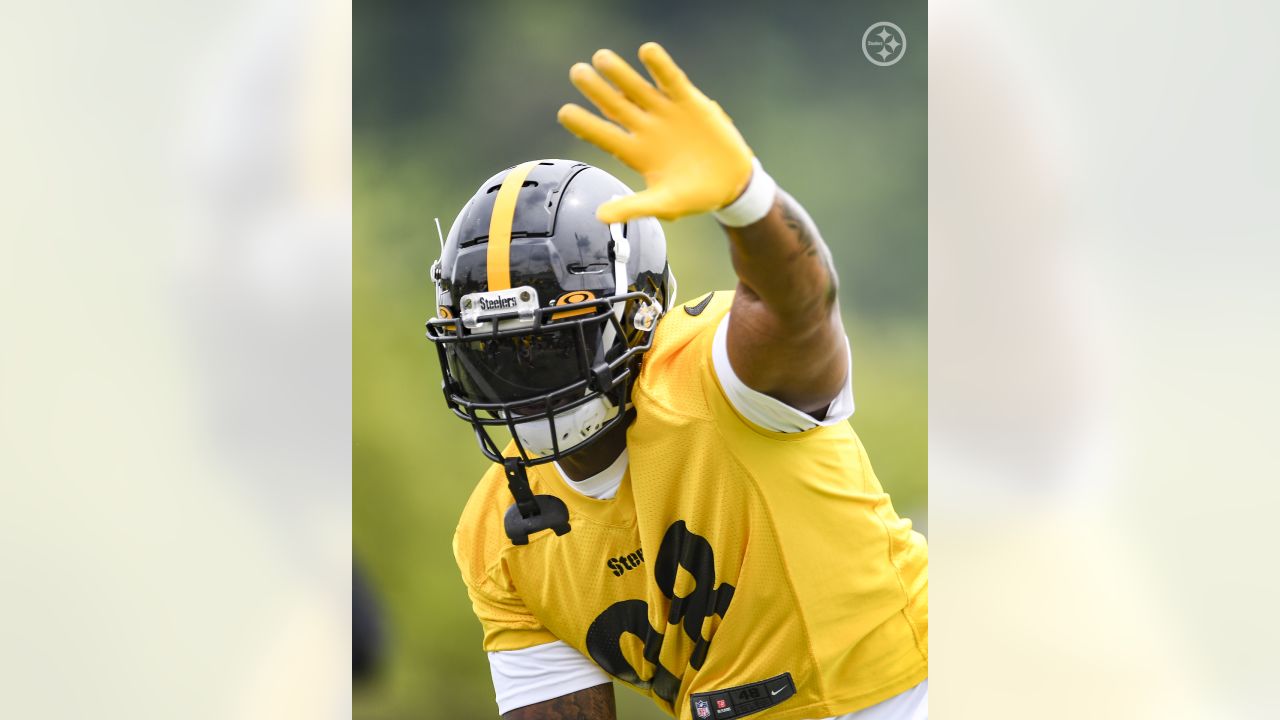 Pittsburgh Steelers defensive end DeMarvin Leal (98) sets up for a