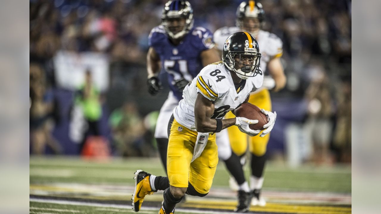 1,635 Pittsburgh Steelers Wide Receiver Antonio Brown Photos & High Res  Pictures - Getty Images