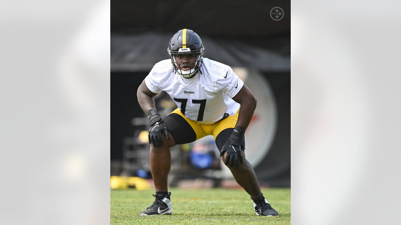 Joey Porter Jr., Darnell Washington & Nate Herbig on OTAs