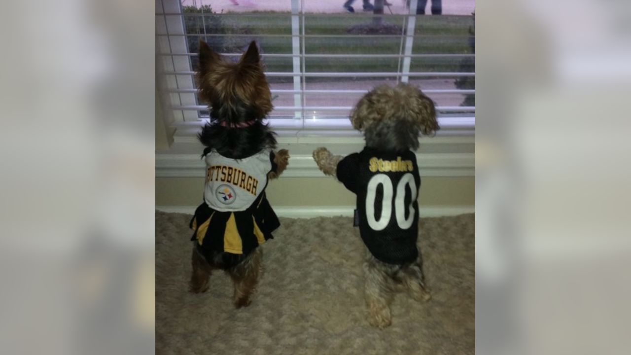 Me and My Steelers Pet