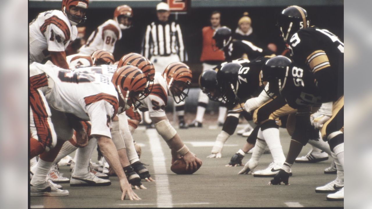 Cincinnati Bengals Gallery - 1980