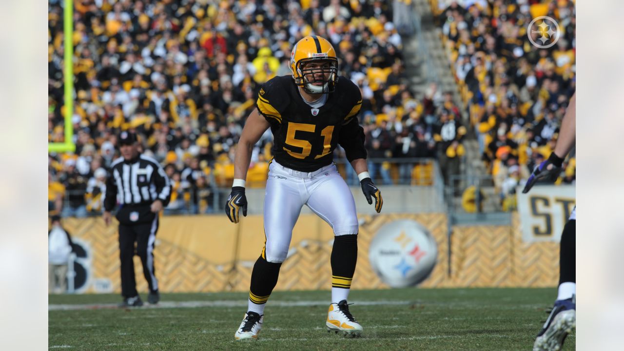 Steelers add Troy Polamalu, Dwight White, Greg Lloyd, James Farrior, Mike  Wagner to Hall of Honor