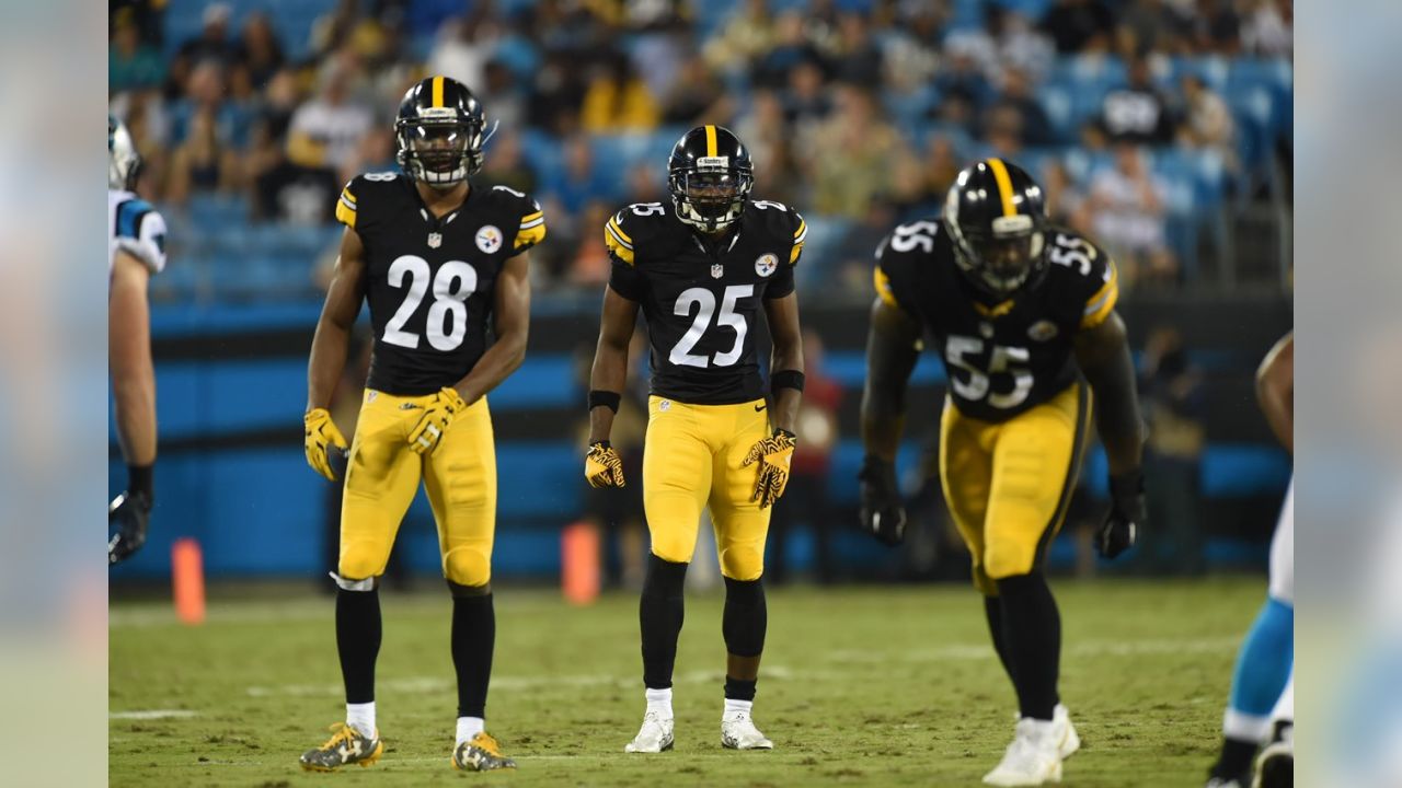 Photo Gallery: Carolina Panthers vs. Pittsburgh Steelers Preseason Week 4