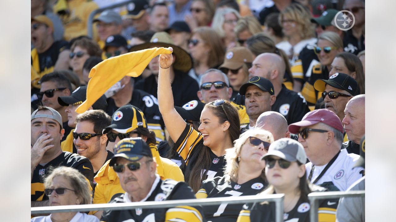 Pittsburgh Steelers, Cincinnati Bengals fans offered Pro Football Hall of  Fame discount 