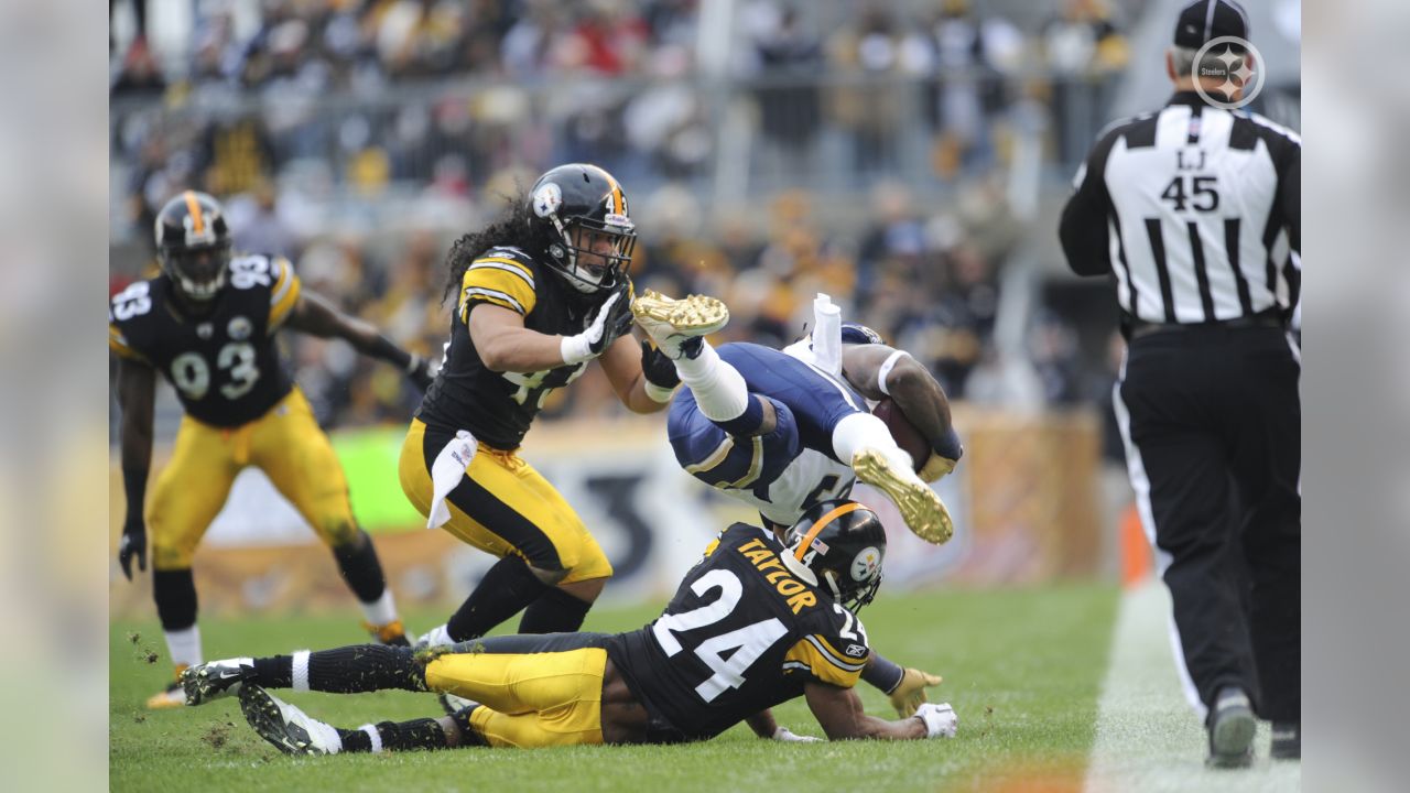 Steelers Safety Troy Polamalu To Retire From The NFL - Cincy Jungle