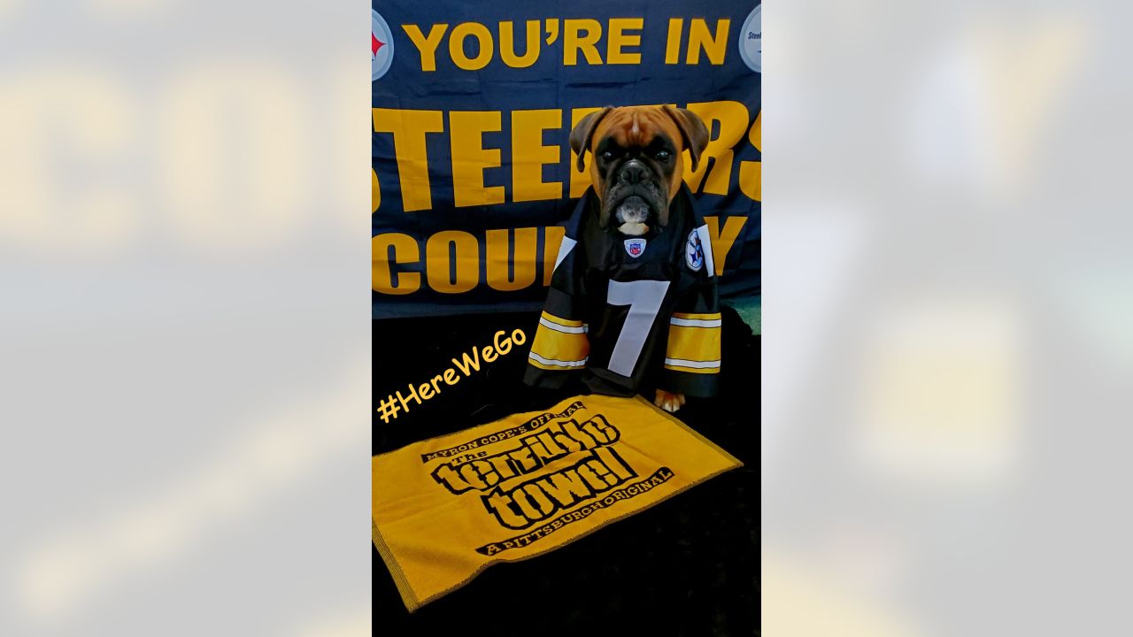 Here we go: Steelers fans gear up for playoffs, News