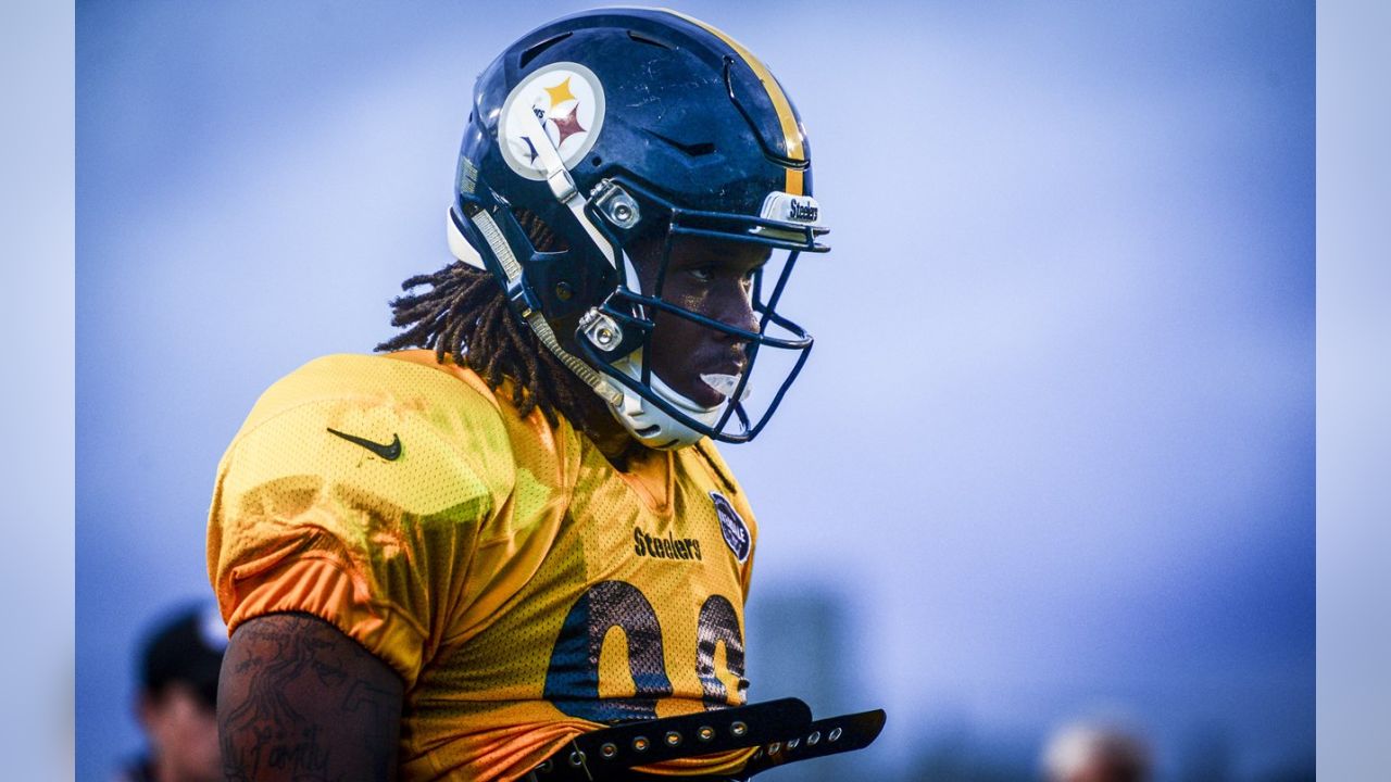 Steelers Friday Night Lights practice: The Latrobe tradition, 2023  schedule, tickets, and more - Behind the Steel Curtain