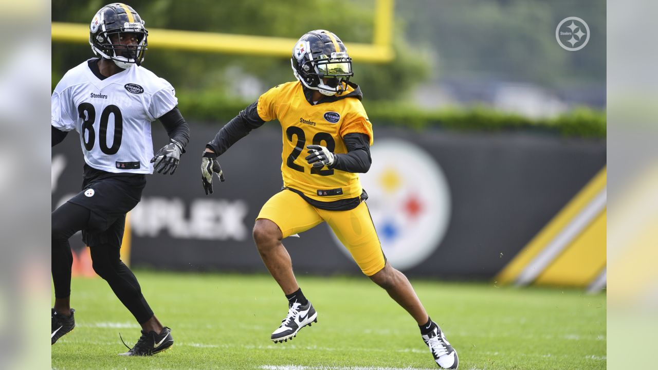 Zach Banner, Devin Bush make appearance on field during Steelers' OTA  session