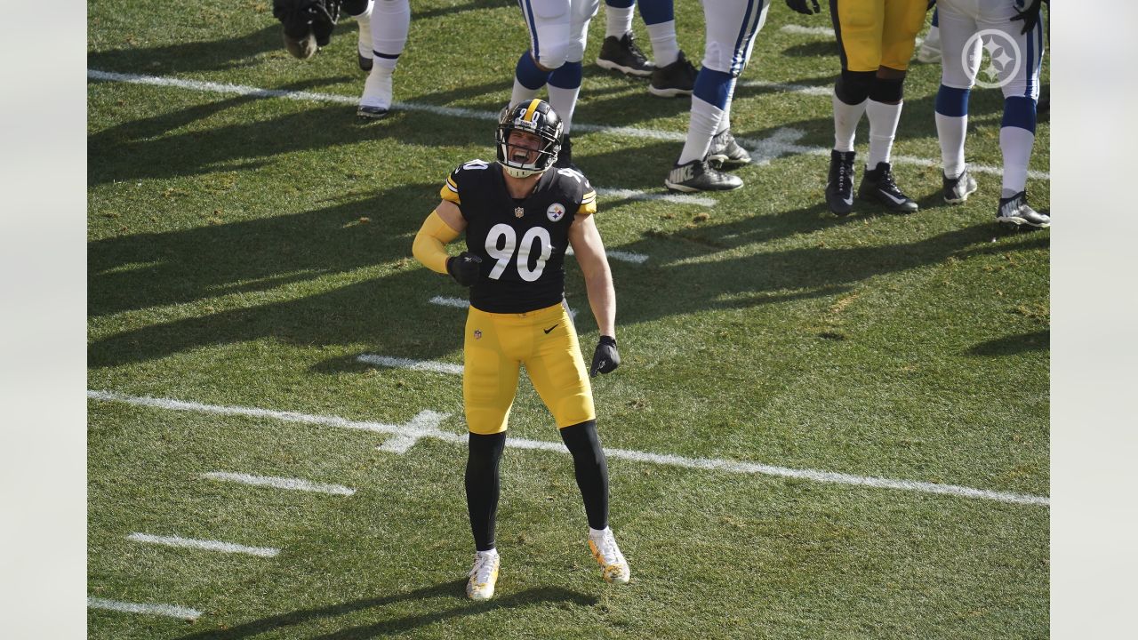 PITTSBURGH, PA - DECEMBER 24: Pittsburgh Steelers linebacker T.J.