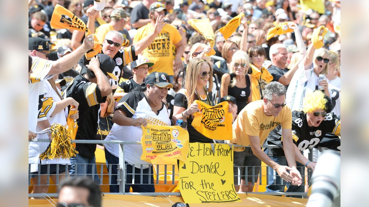 Talk to the Trib: Fans travel great distances, wait in line to experience  Steelers training camp