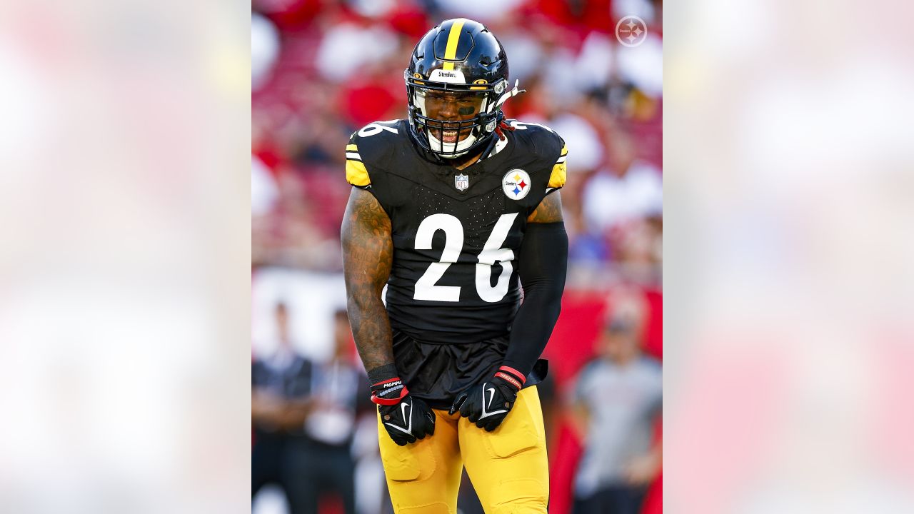 Pittsburgh Steelers linebacker Mark Robinson (93) rushes the quarterback  during an NFL preseason football game against the Tampa Bay Buccaneers,  Friday, Aug. 11, 2023, in Tampa, Fla. (AP Photo/Peter Joneleit Stock Photo  - Alamy