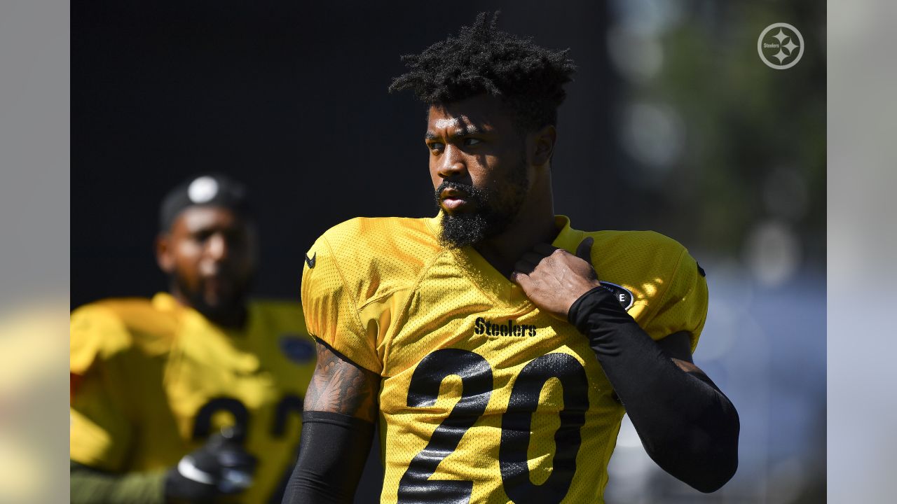 The right Fitz: Steelers' Fitzpatrick looks to build on 2020 - The San  Diego Union-Tribune