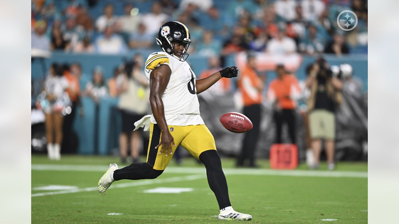 Steelers at Dolphins preview: Closer look at Pittsburgh from Behind the  Steel Curtain - The Phinsider