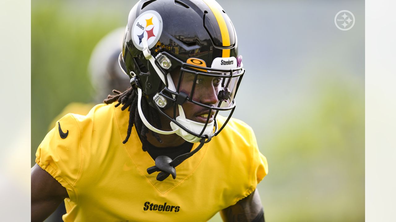 Pittsburgh Steelers safety Miles Killebrew (28) reacts after a special teams  play during an NFL football game, Sunday, Oct. 17, 2021 in Pittsburgh. (AP  Photo/Matt Durisko Stock Photo - Alamy