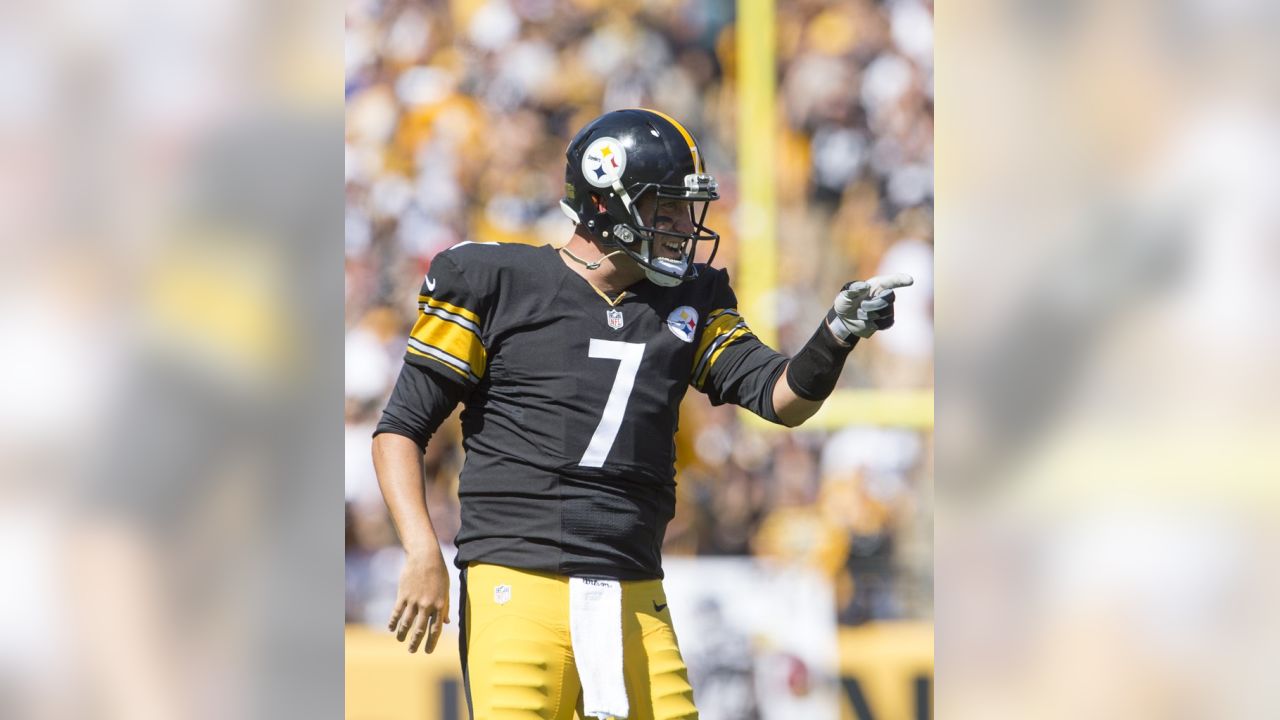 Mike Vick hits Darrius Heyward-Bey for first TD pass as Steeler