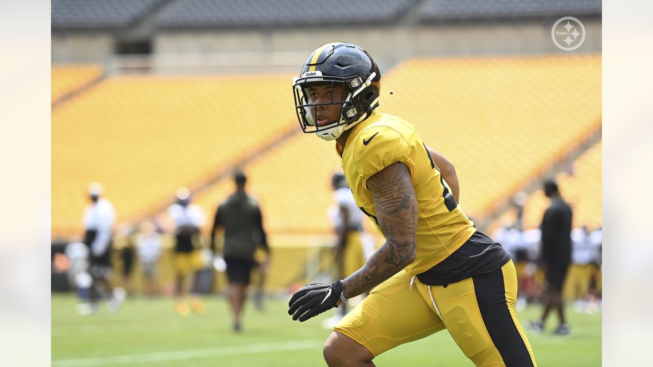 Steelers' fresh faces: Getting to know Tre Norwood