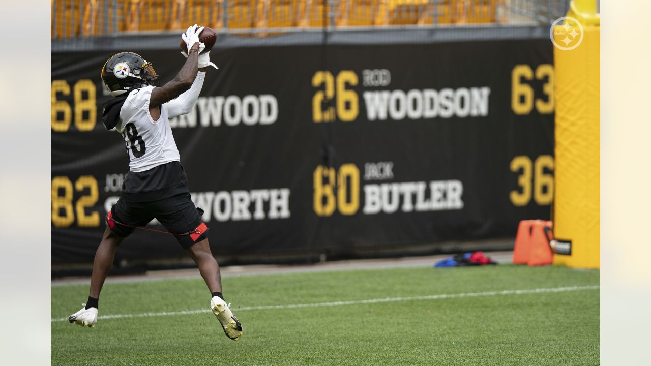 Pittsburgh Steelers wide receiver Anthony Johnson (83) during an NFL  football practice, Saturday, July 24, 2021, in Pittsburgh. (AP Photo/Keith  Srakocic Stock Photo - Alamy