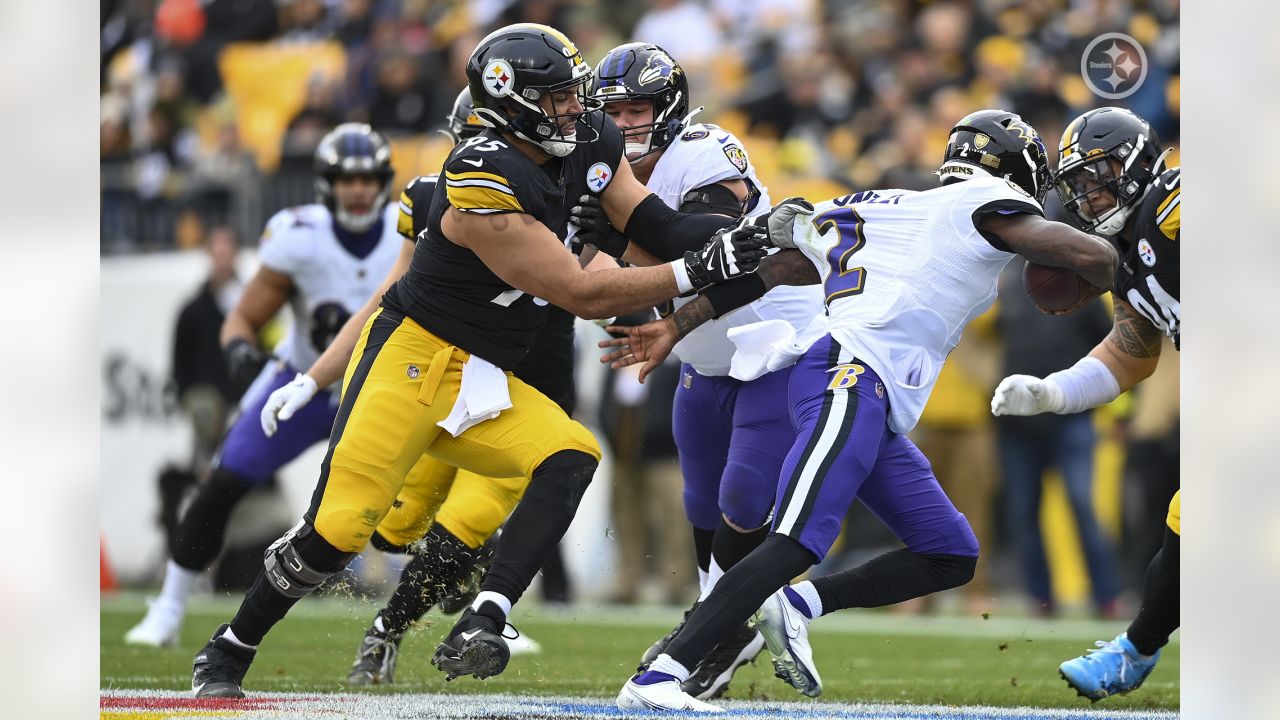 Pittsburgh Steelers defensive tackle Chris Wormley (95) stands on