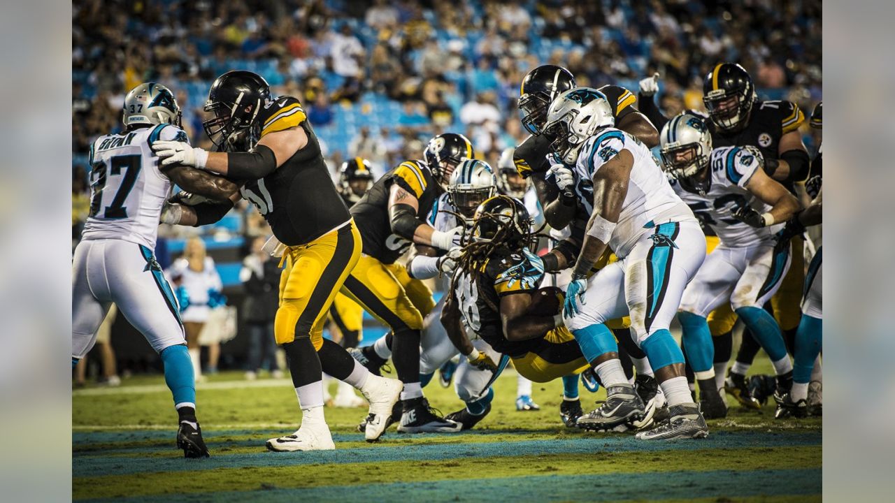 PHOTOS: Karl's Top Pics - Panthers vs Steelers