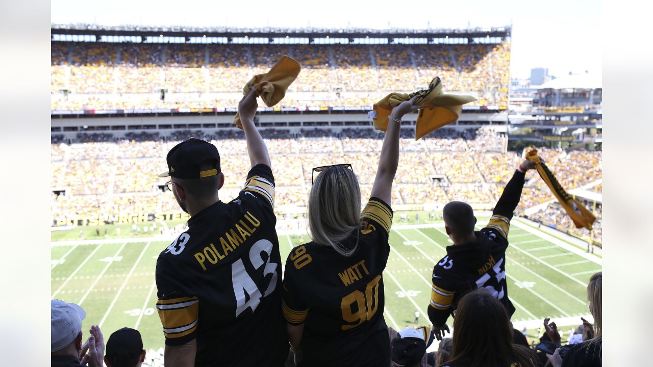 Cincinnati Bengals vs. Pittsburgh Steelers. Fans support on NFL