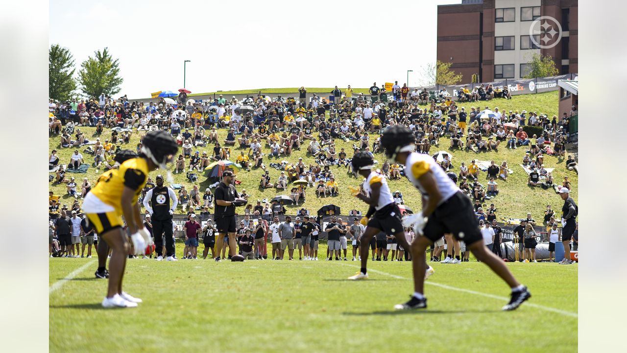 Pittsburgh Steelers receiver Mike Wallace catches a pass during a drill  during NFL training camp in Latrobe, Pa., Friday, July 29, 2011. (AP  Photo/Gene J. Puskar Stock Photo - Alamy