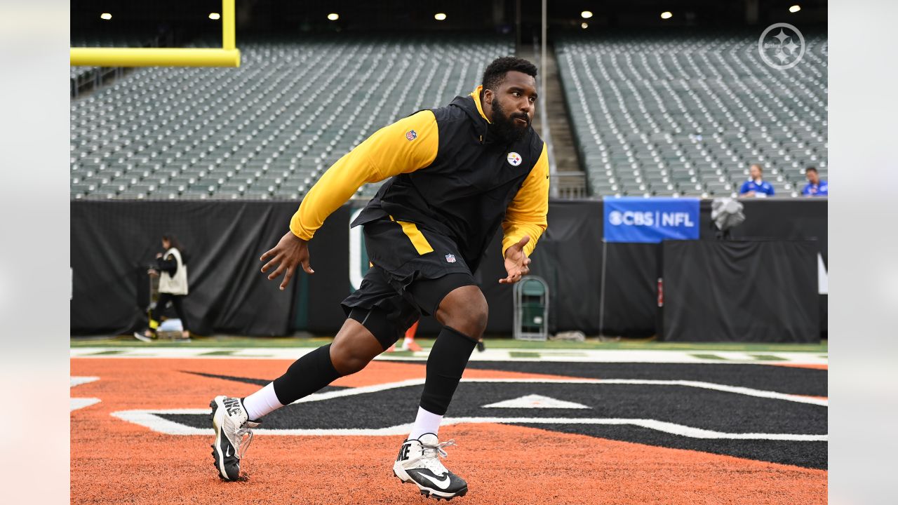 Steelers and Bengals Fight During Pregame 