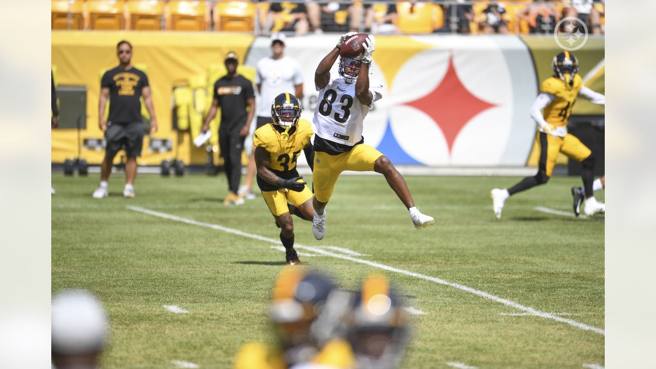 Pittsburgh Steelers wide receiver Anthony Johnson (83) during an NFL  football practice, Saturday, July 24, 2021, in Pittsburgh. (AP Photo/Keith  Srakocic Stock Photo - Alamy