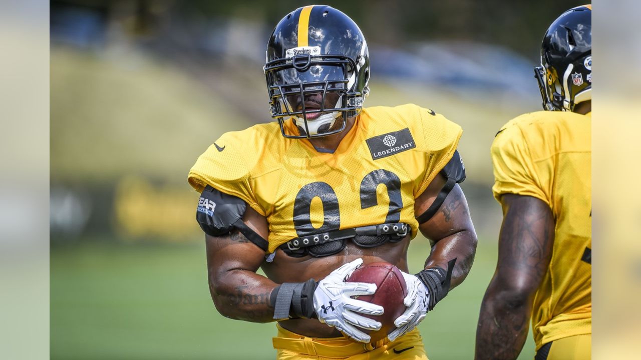 AUG 14 2010: Steelers linebacker James Harrison (92) stares up as he exits  the tunnel during pregame introductions. The Pittsburgh Steelers defeated  the Detroit Lions 23-7 in a preseason game played at