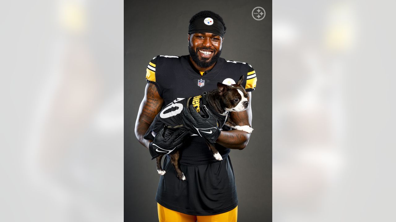 PHOTOS: Steelers Pets - July 7