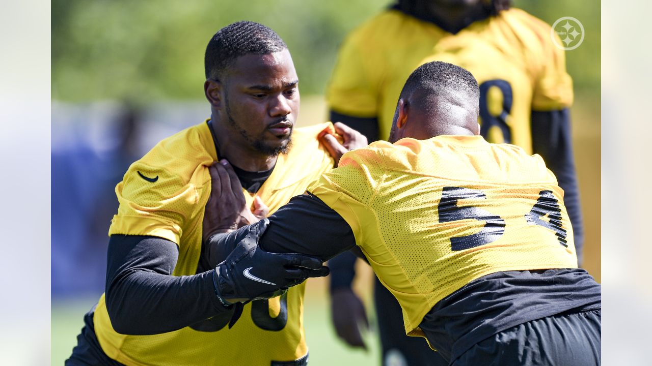 Steelers' TJ Watt, Diontae Johnson, Malik Reed ready to go