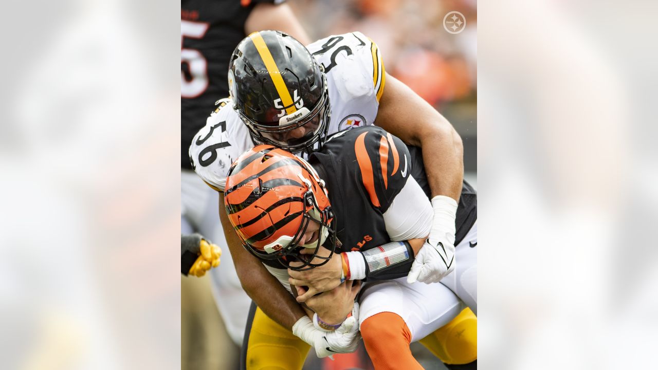 Pittsburgh Steelers linebacker Alex Highsmith (56) walks off the field  after an NFL football game against the Indianapolis Colts, Monday, Nov. 28,  2022, in Indianapolis. (AP Photo/Zach Bolinger Stock Photo - Alamy