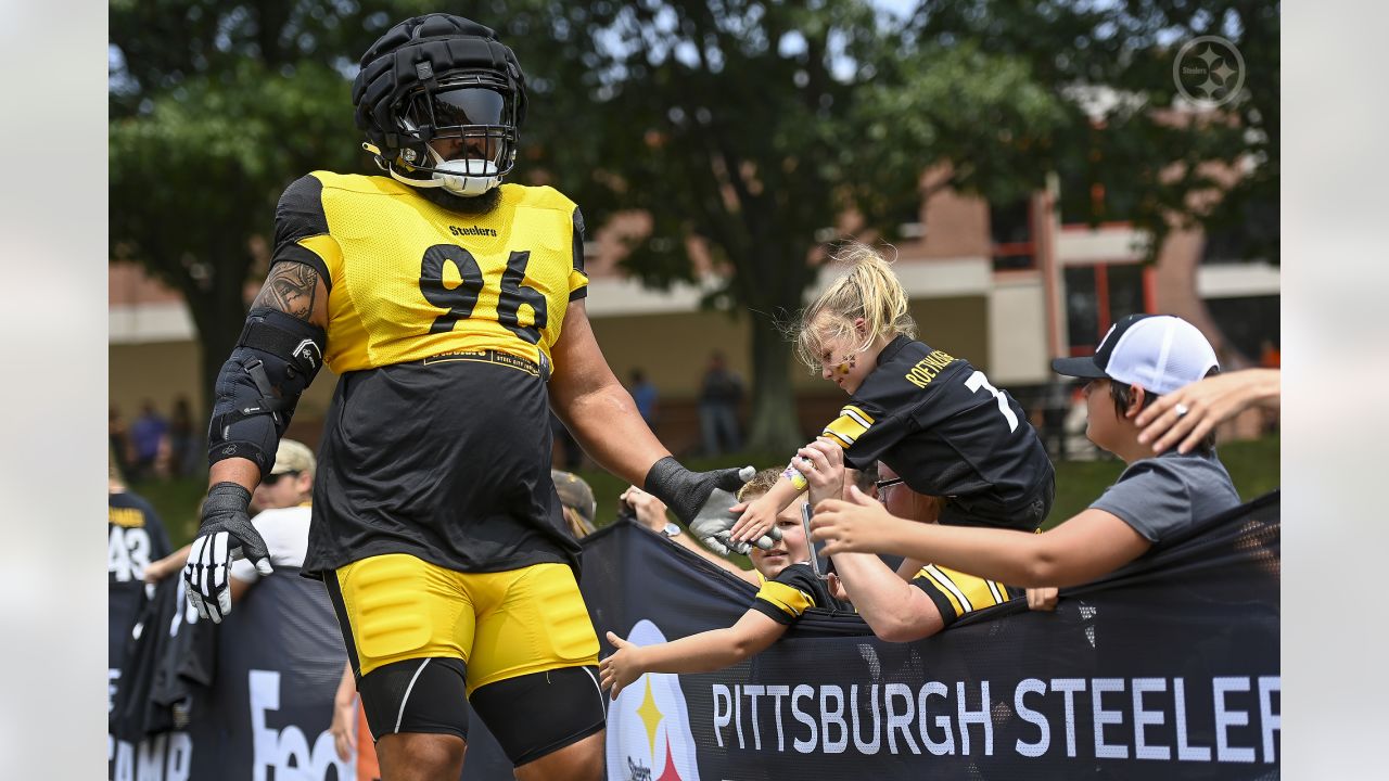 Pittsburgh Steelers receiver Mike Wallace catches a pass during a drill  during NFL training camp in Latrobe, Pa., Friday, July 29, 2011. (AP  Photo/Gene J. Puskar Stock Photo - Alamy