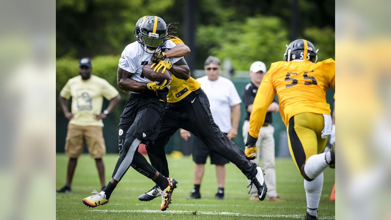 Sammie Coates' development welcome sign for Steelers offense