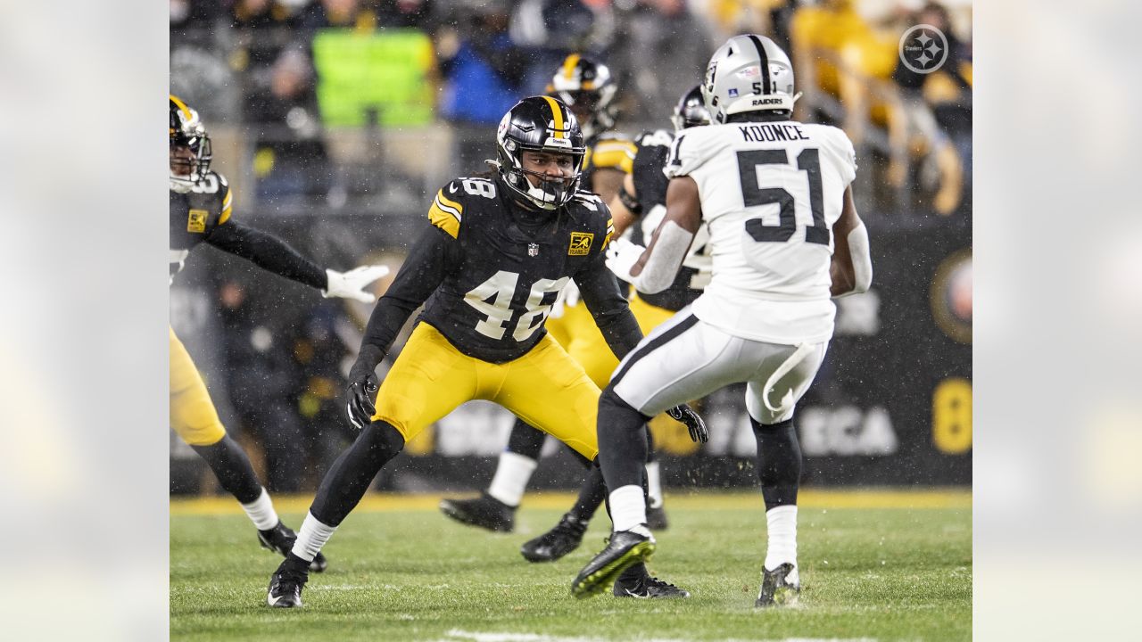 PITTSBURGH, PA - DECEMBER 11: Pittsburgh Steelers linebacker Jamir