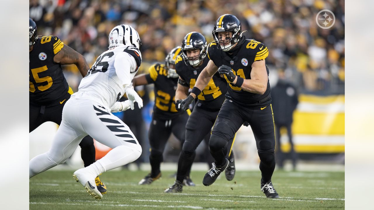 Pittsburgh Steelers tight end Zach Gentry (81) plays in an NFL football  game against the Tennessee Titans, Sunday, Dec. 19, 2021, in Pittsburgh.  (AP Photo/Gene J. Puskar Stock Photo - Alamy